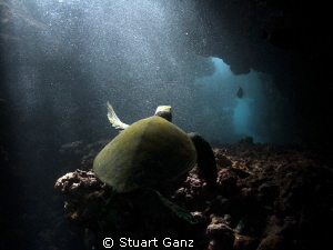Into the elevator by Stuart Ganz 